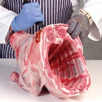 Meat Cut Spec Step 2